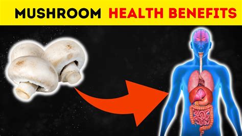 Big Mushroom Effect and How to Get .